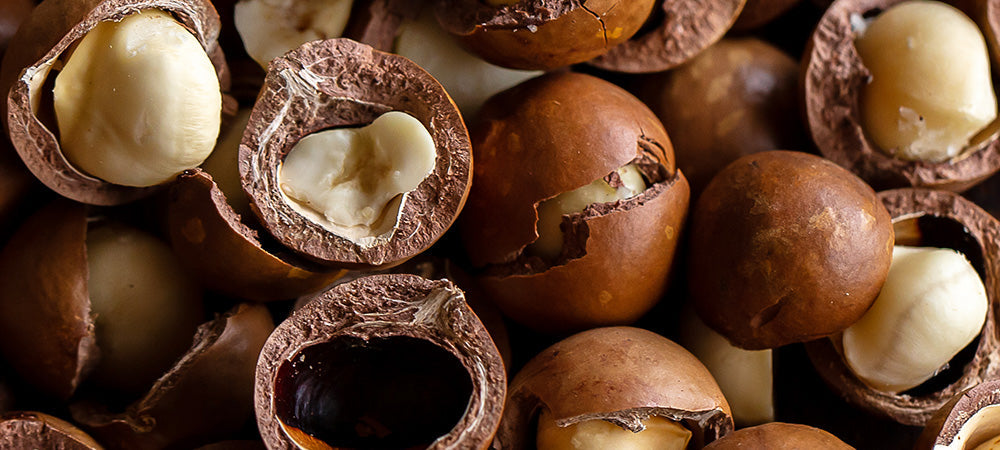 Macadamia Seed Oil