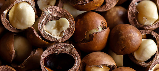 Macadamia Seed Oil