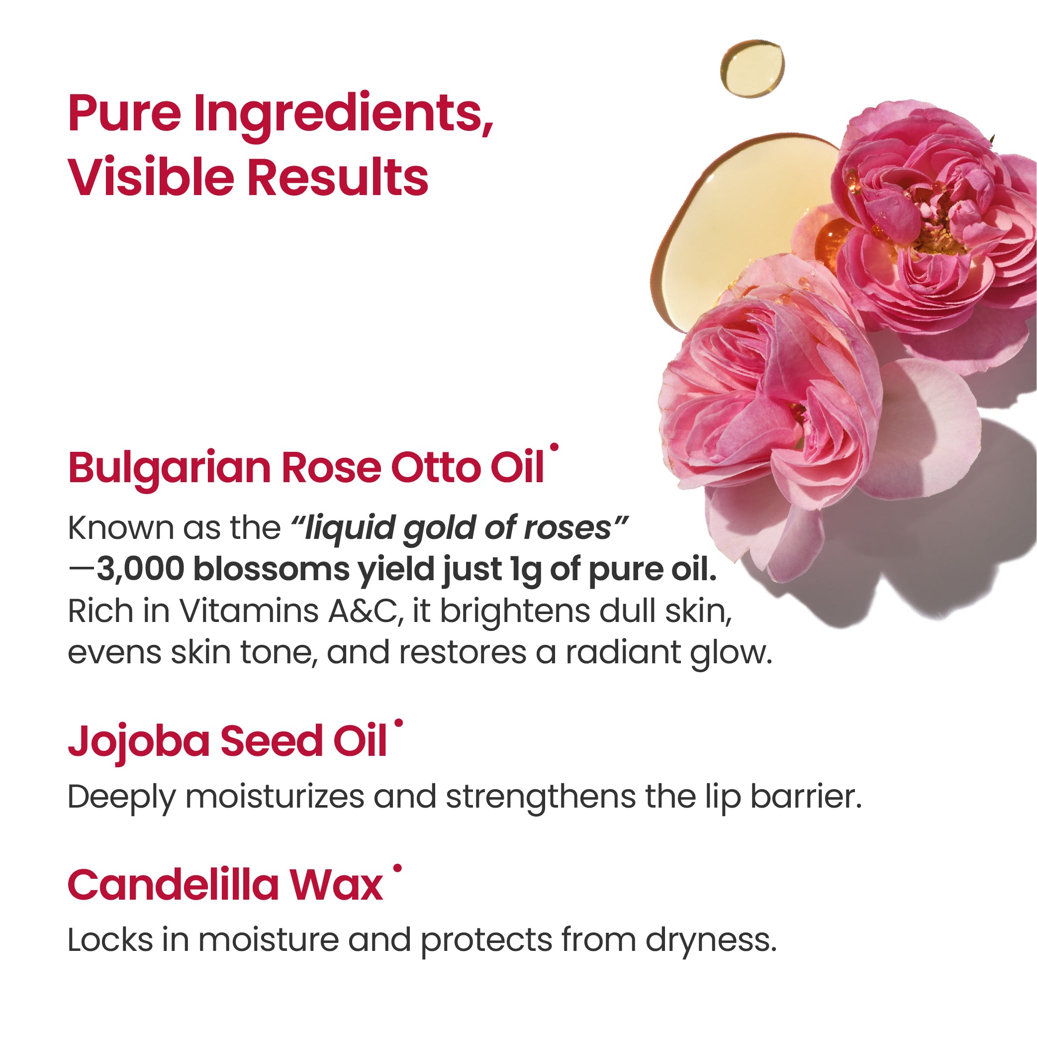 Lip Treatment Balm (Berry Rose)