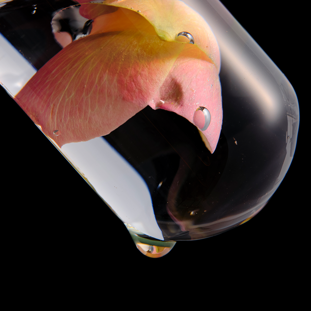 ISOI